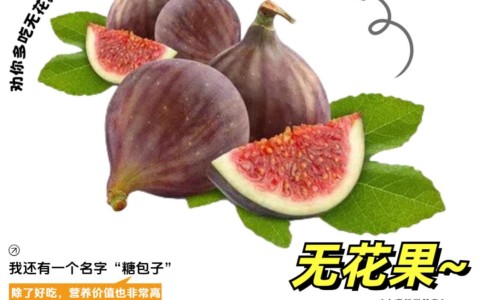枫斗石斛功效与作用及禁忌-枫斗石斛功效与作用网枫斗石斛什么区别知识网站,分享枫斗石斛图片大全