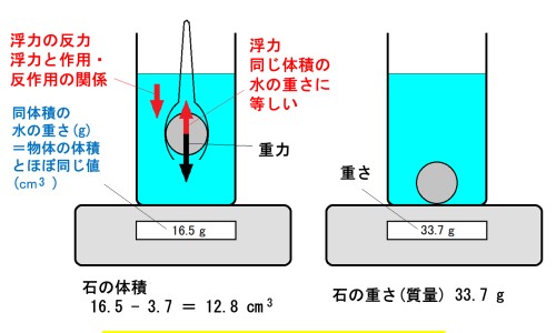 枫斗石斛功效与作用及禁忌-枫斗石斛功效与作用网枫斗石斛什么区别知识网站,分享枫斗石斛图片大全
