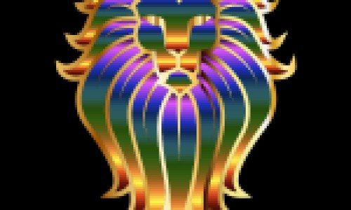 枫斗石斛功效与作用网枫斗石斛什么区别知识网站,分享枫斗石斛图片大全