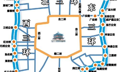 枫斗石斛功效与作用网枫斗石斛什么区别知识网站,分享枫斗石斛图片大全