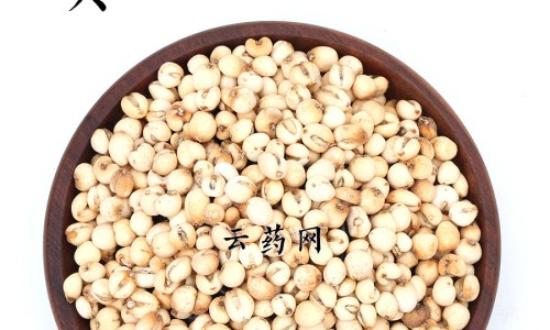 枫斗石斛功效与作用网枫斗石斛什么区别知识网站,分享枫斗石斛图片大全